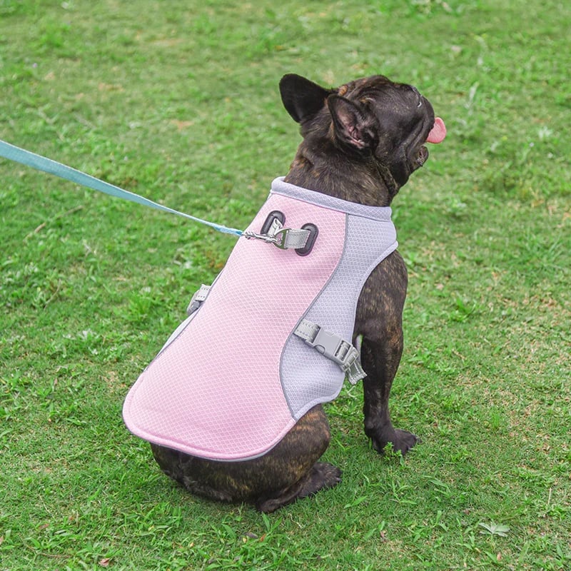 ❄️🐾 Dog Summer Ice Cooling Protective Vest