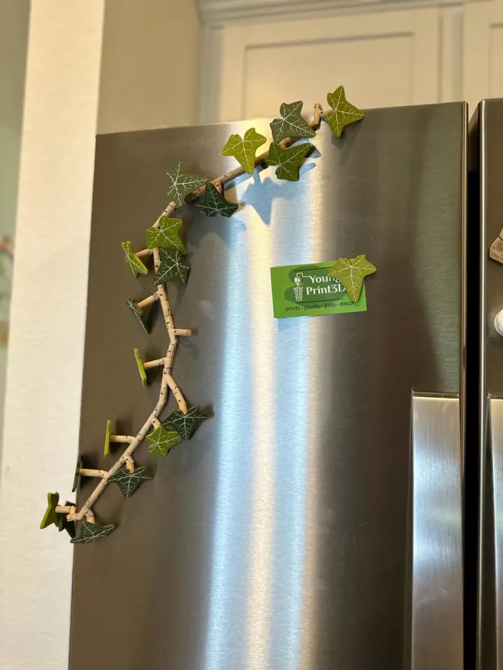 🎁Ivy Fridge Magnets