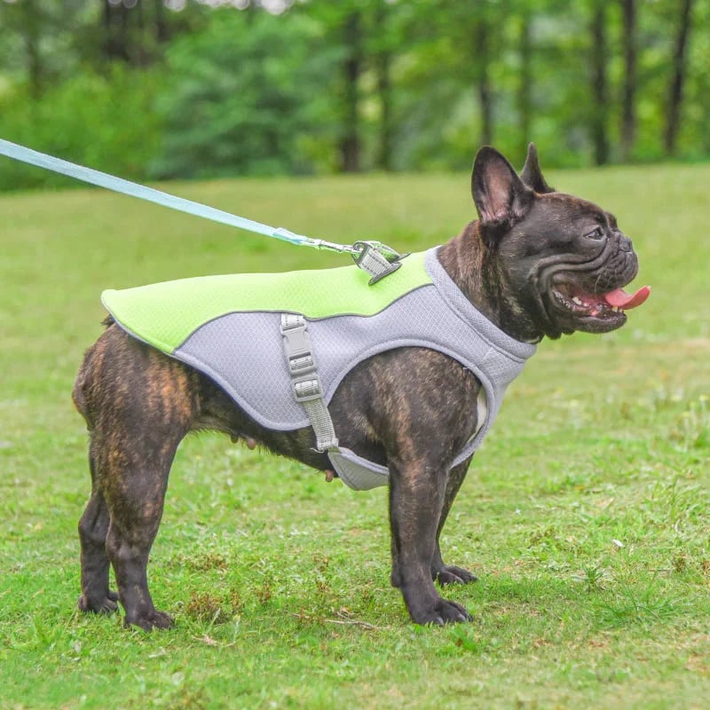 ❄️🐾 Dog Summer Ice Cooling Protective Vest