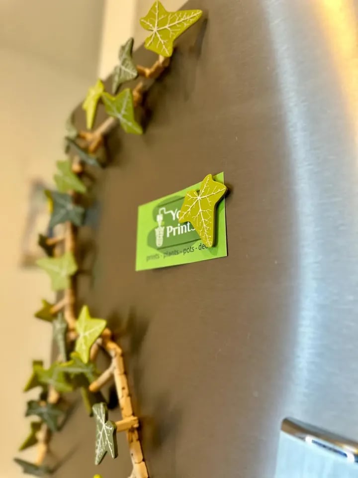 🎁Ivy Fridge Magnets