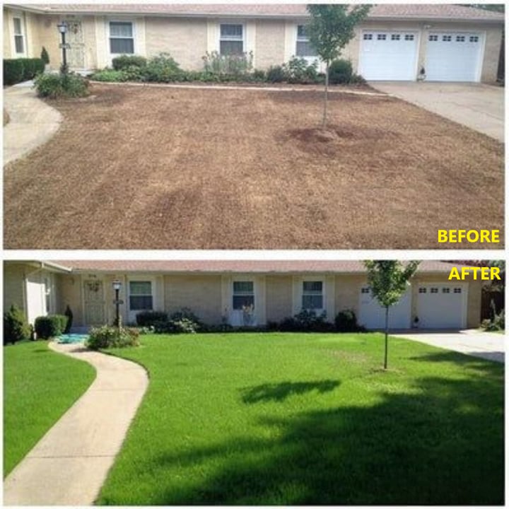 🔥BUY 3 GET 3 FREE (6PCS)🔥 Grass Seed Mat- 2MIN TO INSTALL