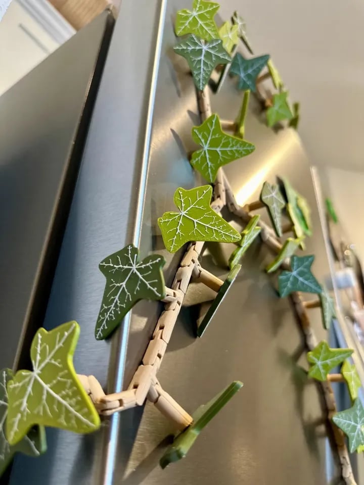 🎁Ivy Fridge Magnets
