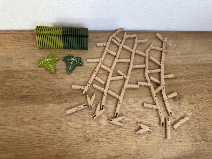 🎁Ivy Fridge Magnets