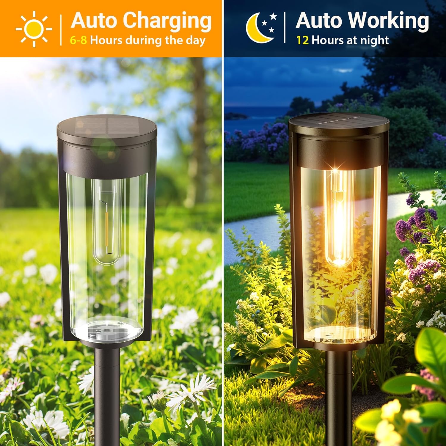 🔥✨Solar Pathway Lights