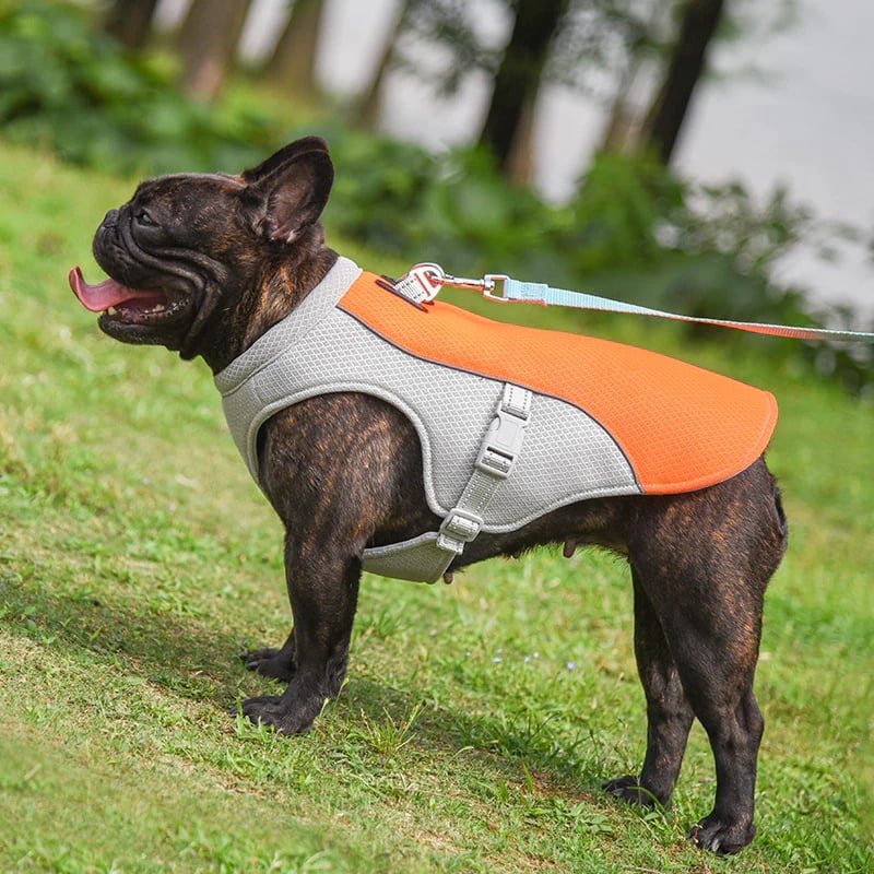 ❄️🐾 Dog Summer Ice Cooling Protective Vest