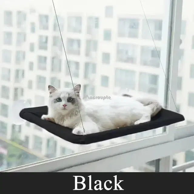 Sunny Window Hammock for Cats